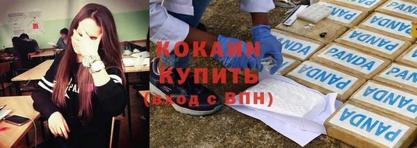 спиды Михайлов