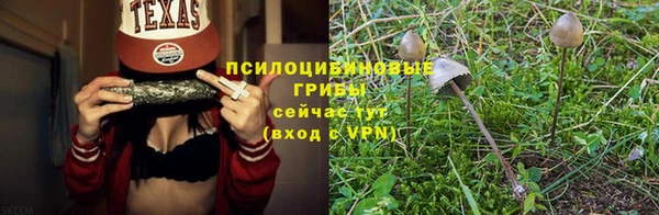 шишки Михайловка