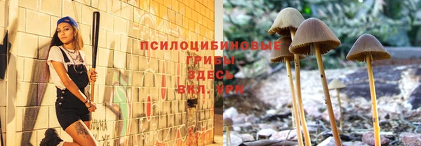 спиды Михайлов