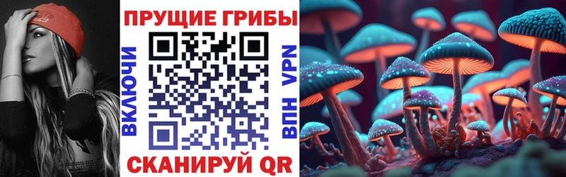 Псилоцибиновые грибы Cubensis  shop телеграм  Волгоград  цена наркотик 