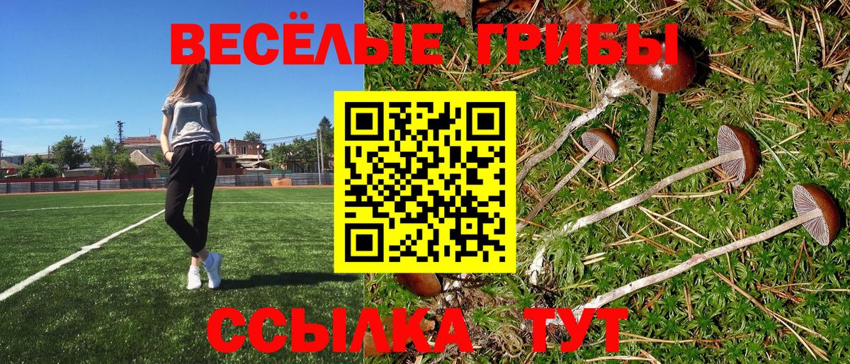 Псилоцибиновые грибы мухоморы  Волгоград 