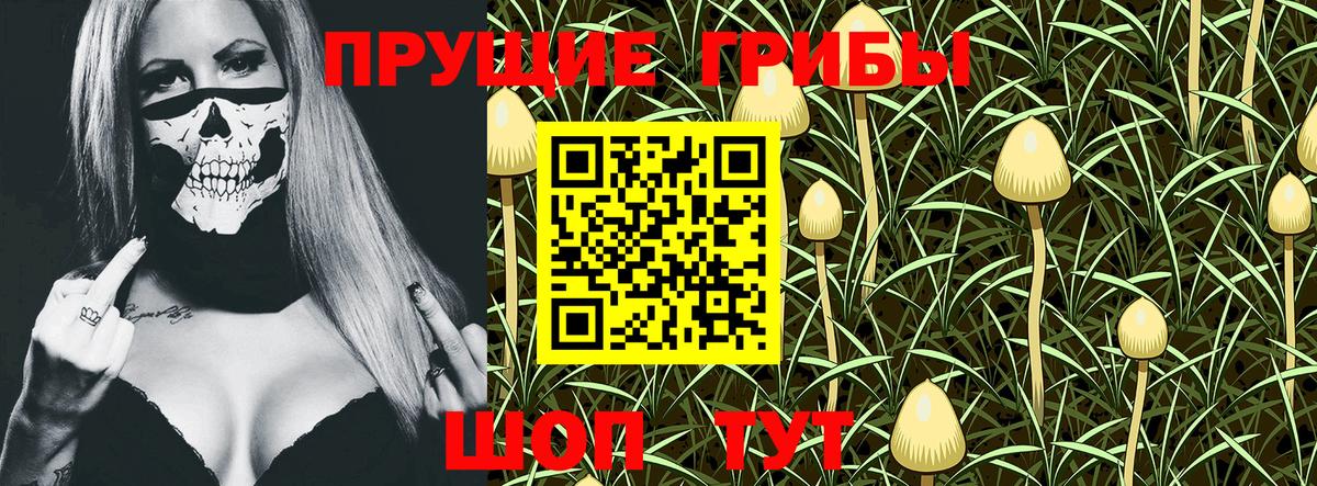 Галлюциногенные грибы GOLDEN TEACHER Волгоград